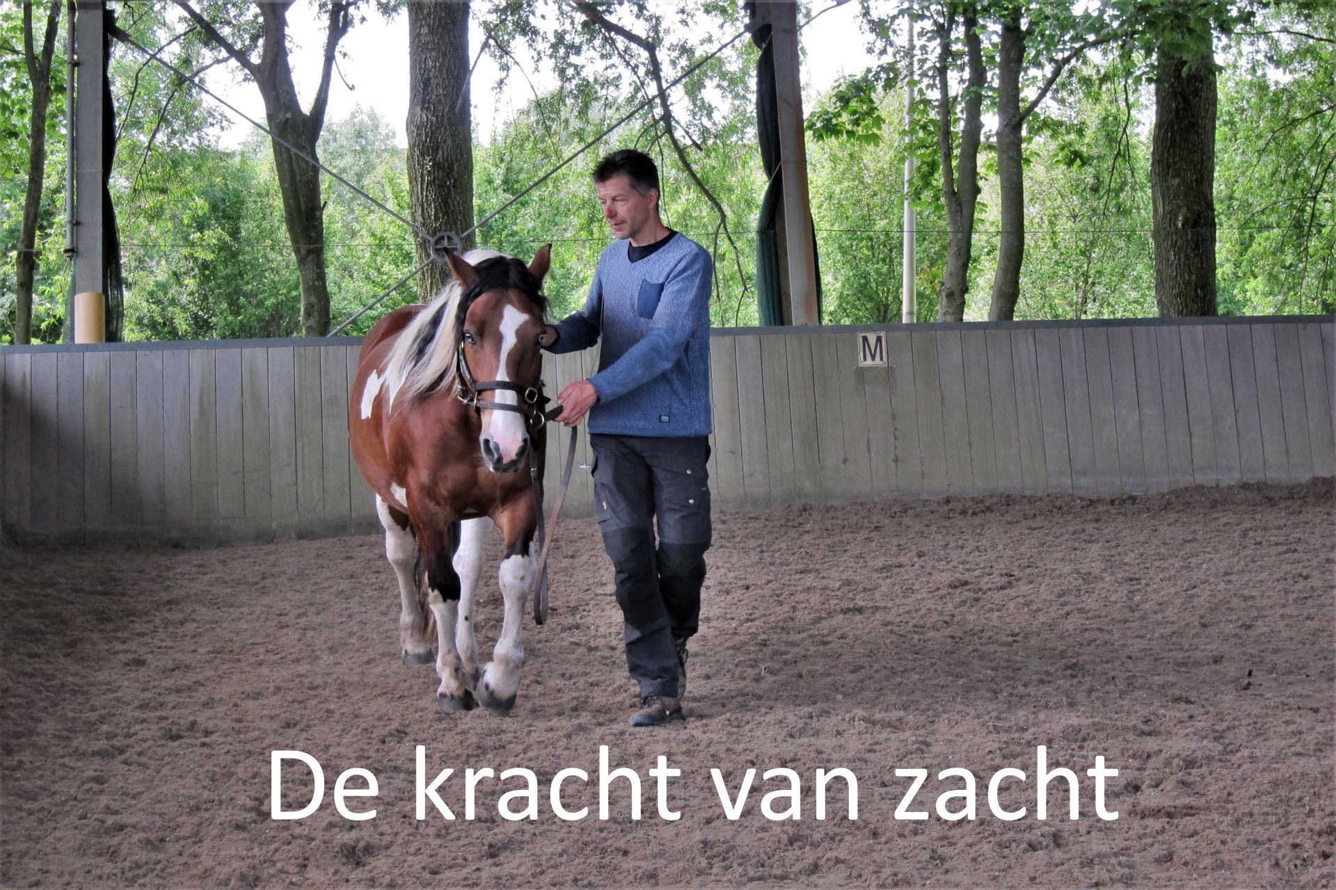 Ernst van Kampenhout werkt met paard aan de hand aan balans