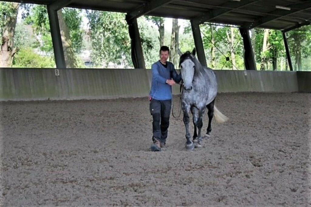Ernst van Kampenhout doet grondwerk met een paard om de balans van het paard te verbeteren