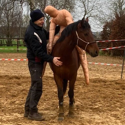 Ernst van Kampenhout laat jong paard wennen aan een ruiter op de rug met behulp van een pop